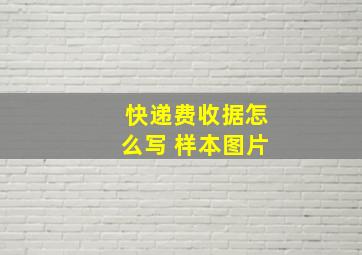 快递费收据怎么写 样本图片